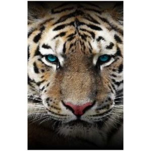 Tiger Microfiber Beach Towel